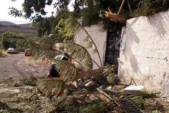 Los bomberos evitan que un árbol caiga sobre una vivienda en Lomo Catela (Foto TA)